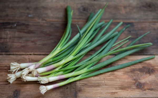 Green Garlic (Tewm Ahdar) xkg