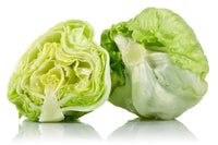 Iceberg Lettuce (Hass ta' Barra) per pcs