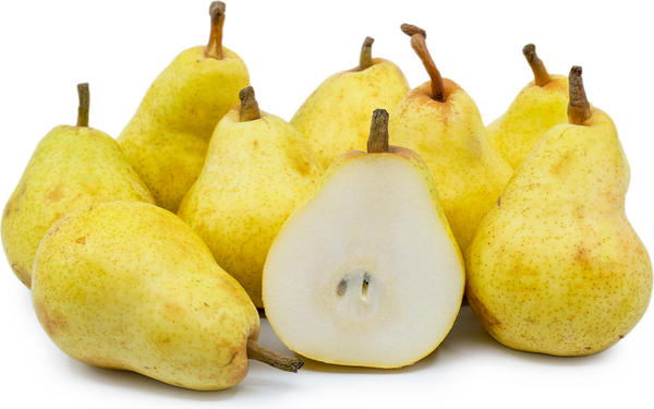 Pears (Langas) xkg