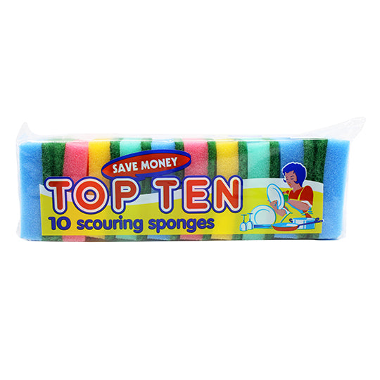 Top ten scouring sponges x10